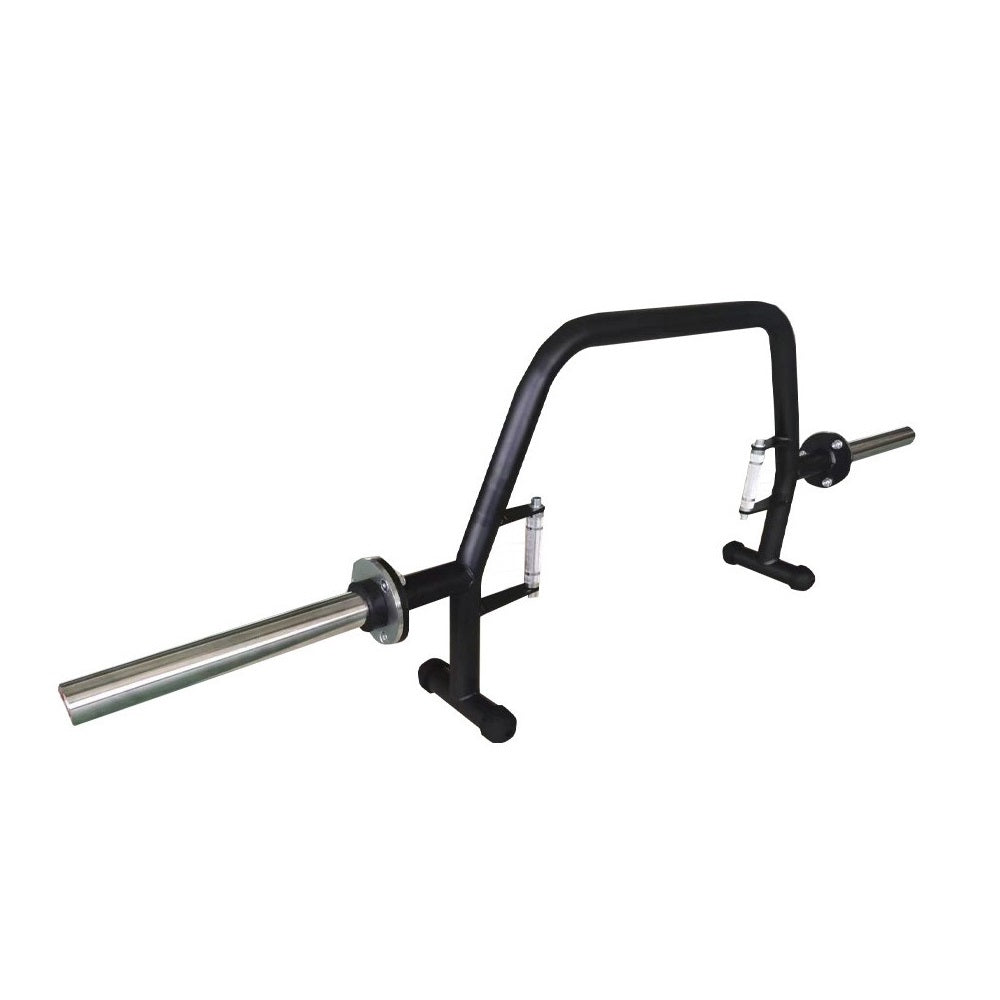 SVELTUS Ergonomic Trap Barre