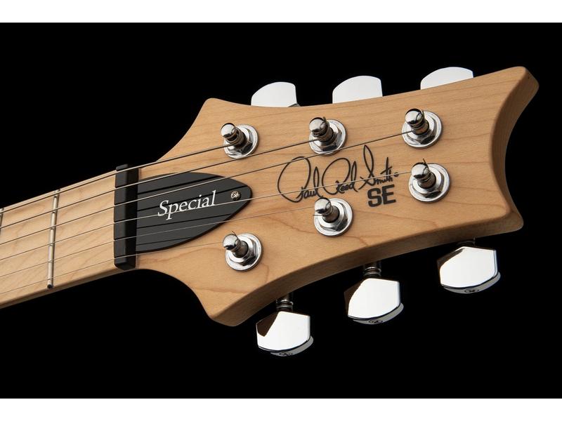 PRS Guitars E-Gitarre SE Swamp Ash Special Vintage Sunburst Frisches Gesicht und vielseitige Stimme