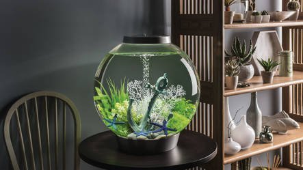 biOrb Classic 60 MCR Wit | Uniek aanpasbaar aquarium