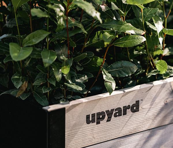 Upyard Holz-Pflanzkasten ModernBox, ca.