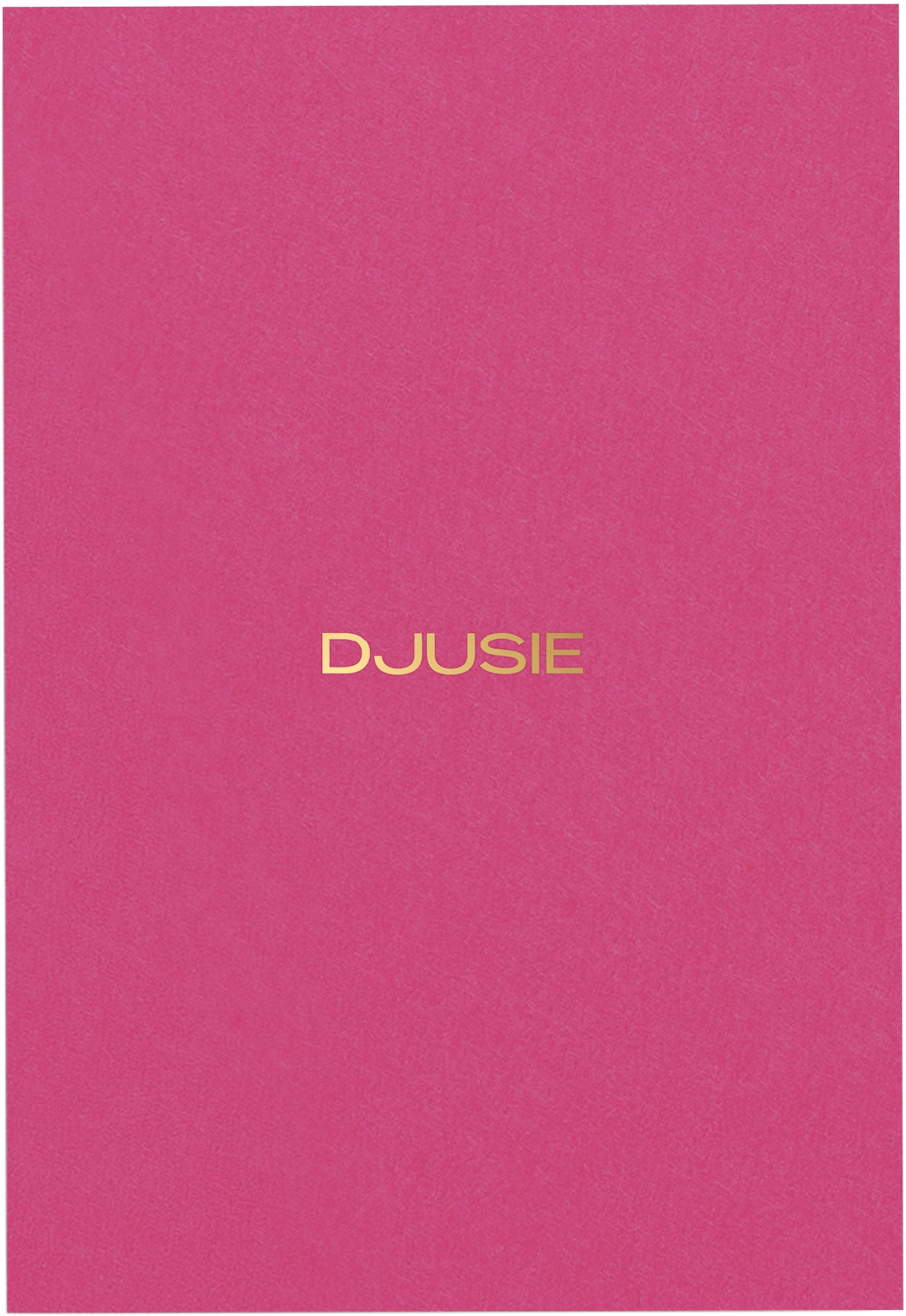 DJUSIE  Face Brush