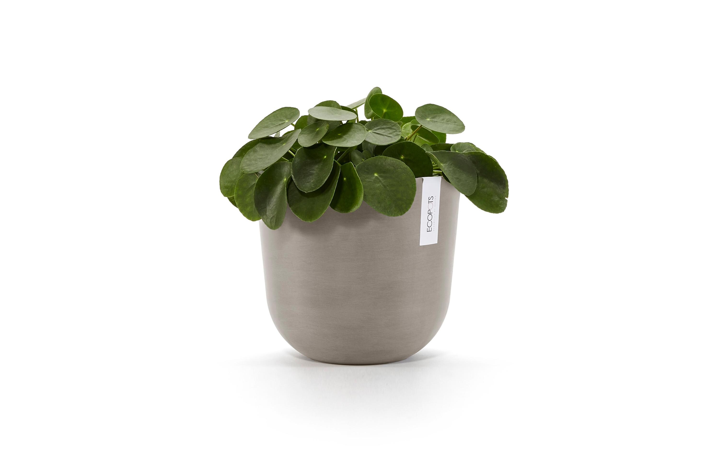 Pflanzentopf Oslo 25, French TaupeRobuster und langlebiger Blumentopf