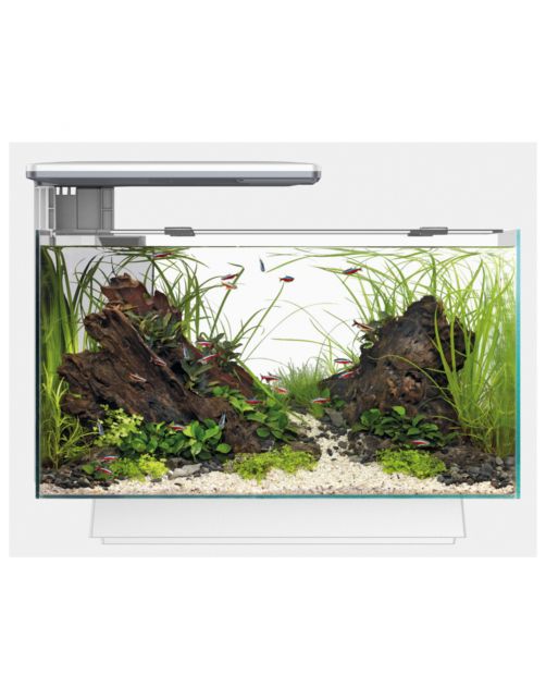 Superfish Quadro 40 Multi Colour - Aquaria