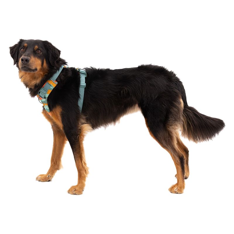 Harnais Ruffwear Front Range Spring Moutains