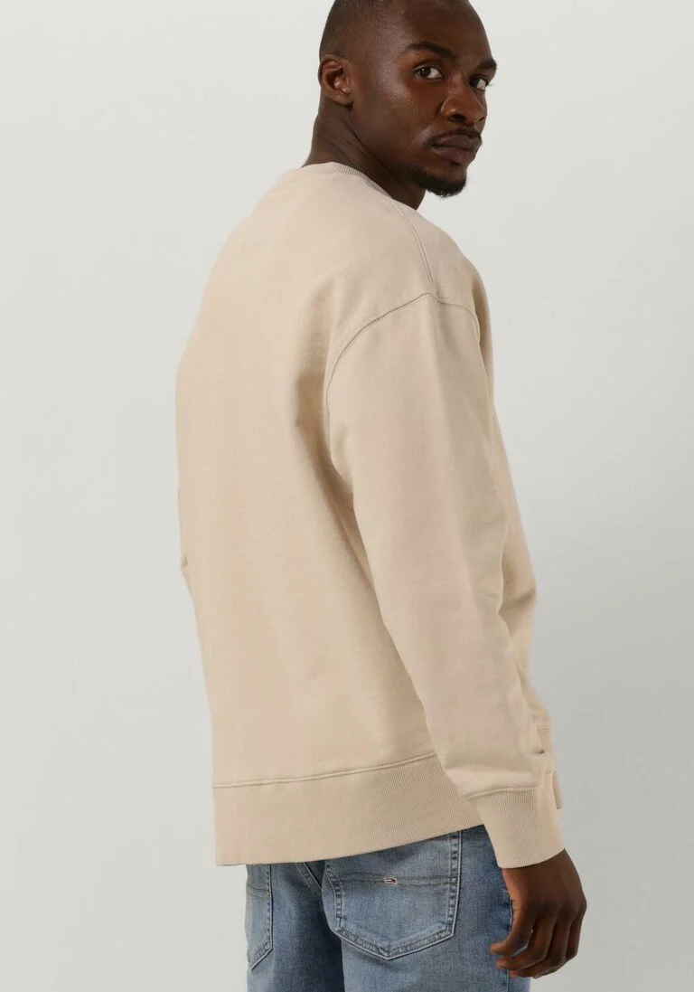 TOMMY JEANS beige tommy jeans sweater tjm rlx xs badge crew