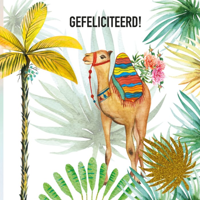 Paperclip | Verjaardagskaart | Gefeliciteerd