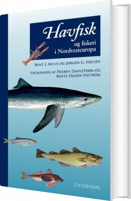 Havfisk Og Fiskeri - Jørgen G. Nielsen - Bog
