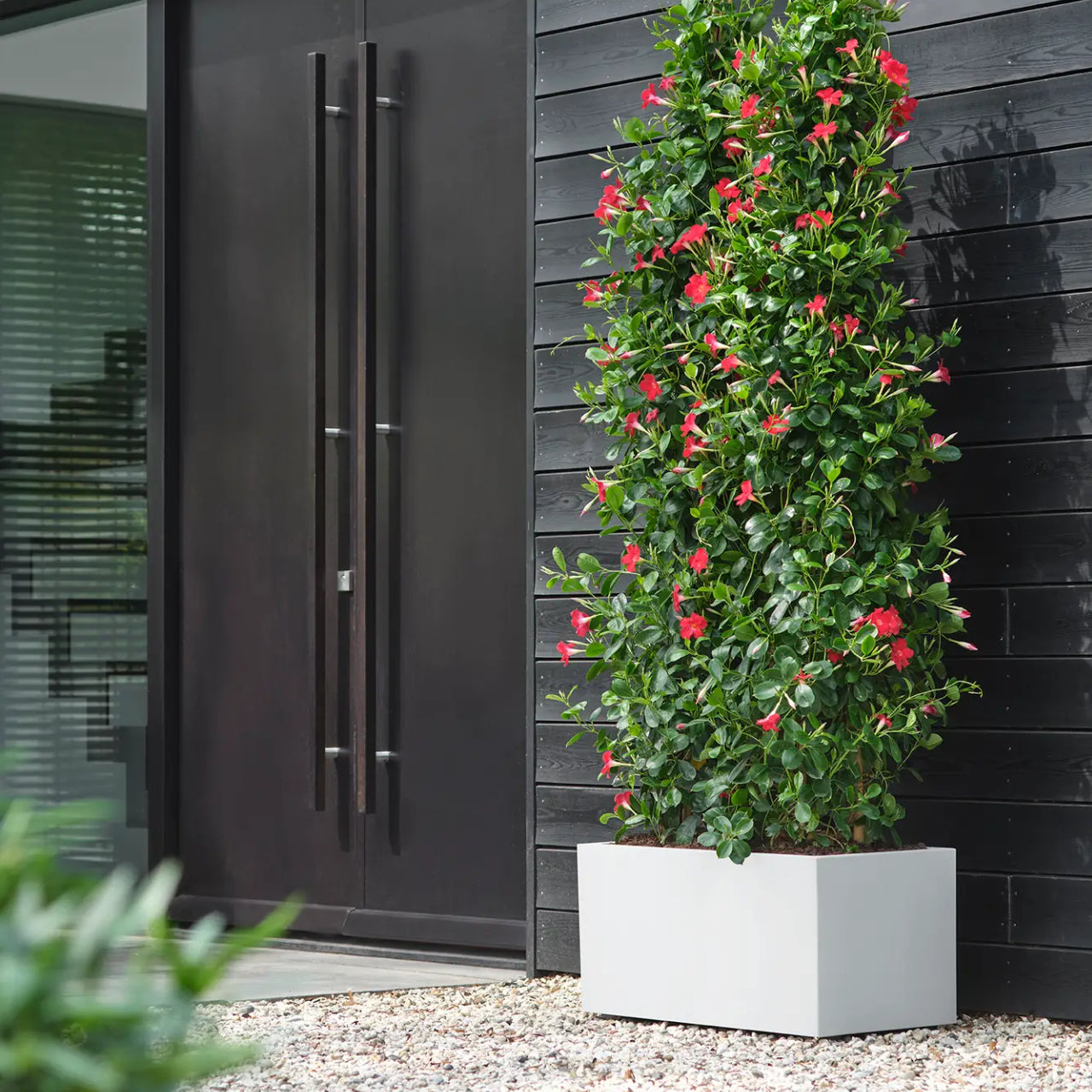 elho Vivo Next Plantenbak B 60 cm - Wit
