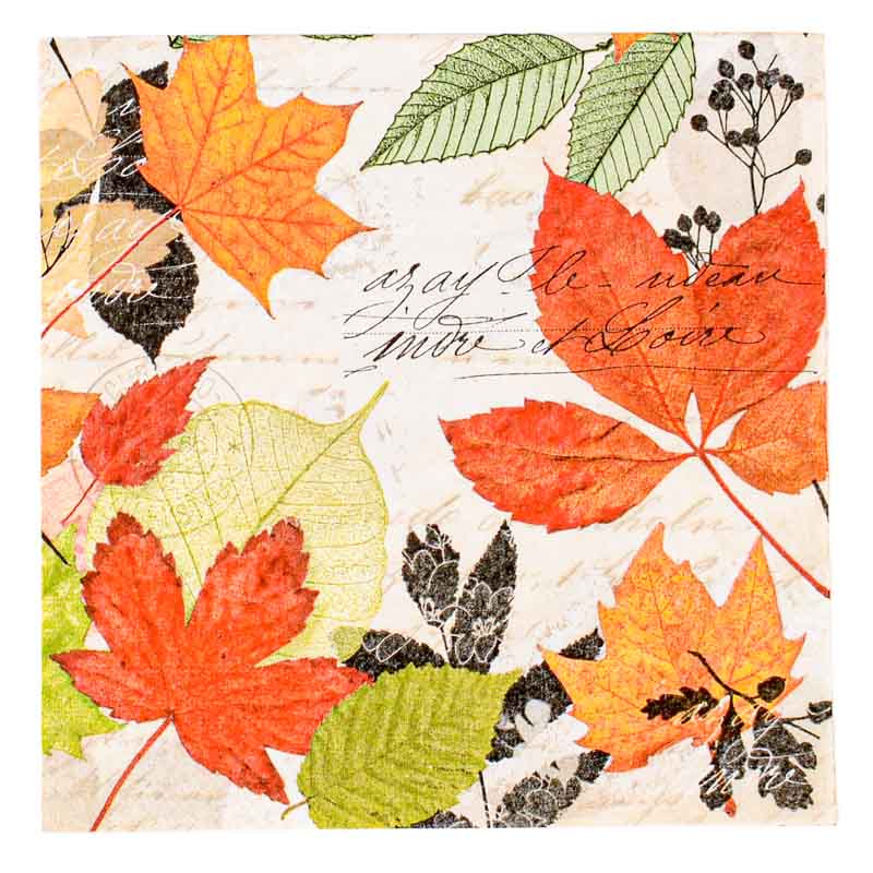 Lot de 20 serviettes 'Herbarium'