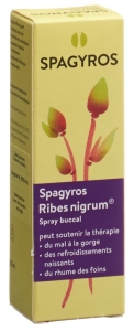 SPAGYROS Ribes nigrum Mundspray D1, 30 ml