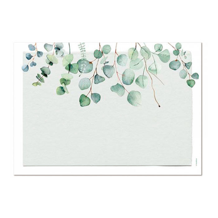 Papiertischset Eucalyptus