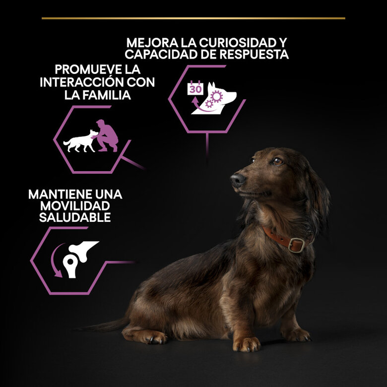 Pro Plan Adult Small and Mini Frango para Cães Idosos +9