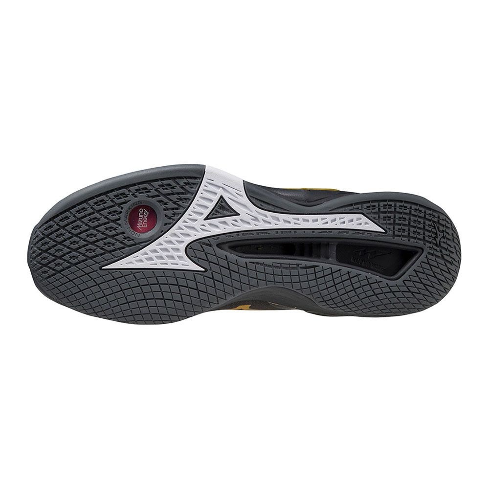 Mizuno WAVE STEALTH NEO - Chaussures handball Homme black oyster/mp gold/iron gate