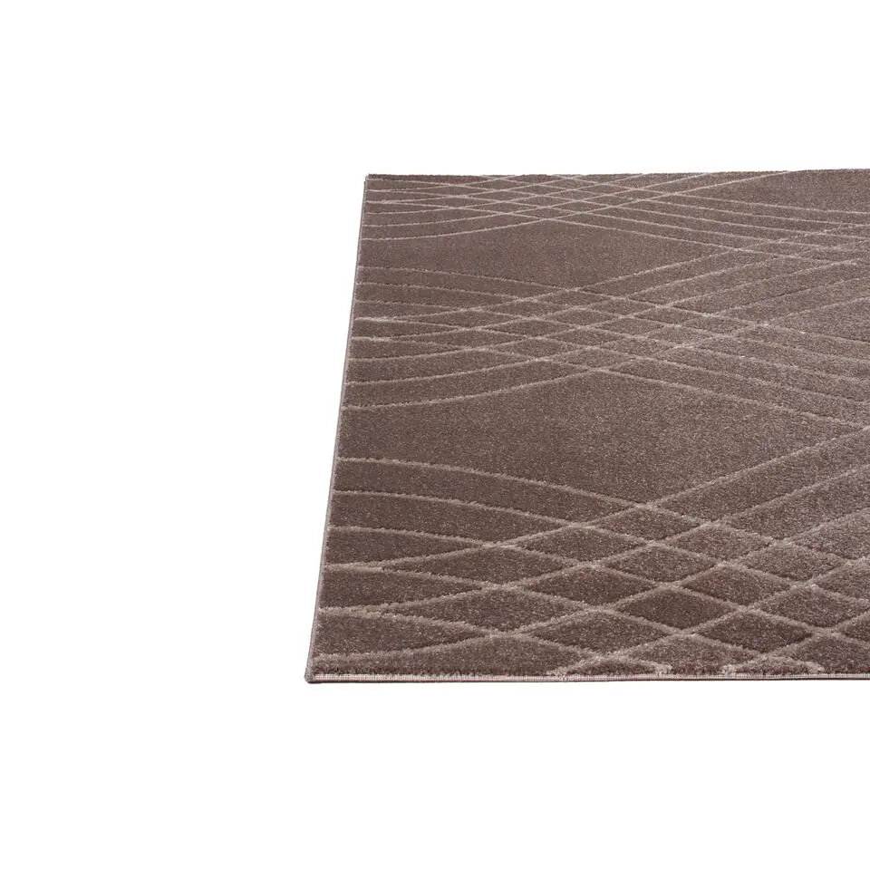 Dutch Lifestyle - Polypropyleen - Vloerkleed - 230x160cm - Bruin