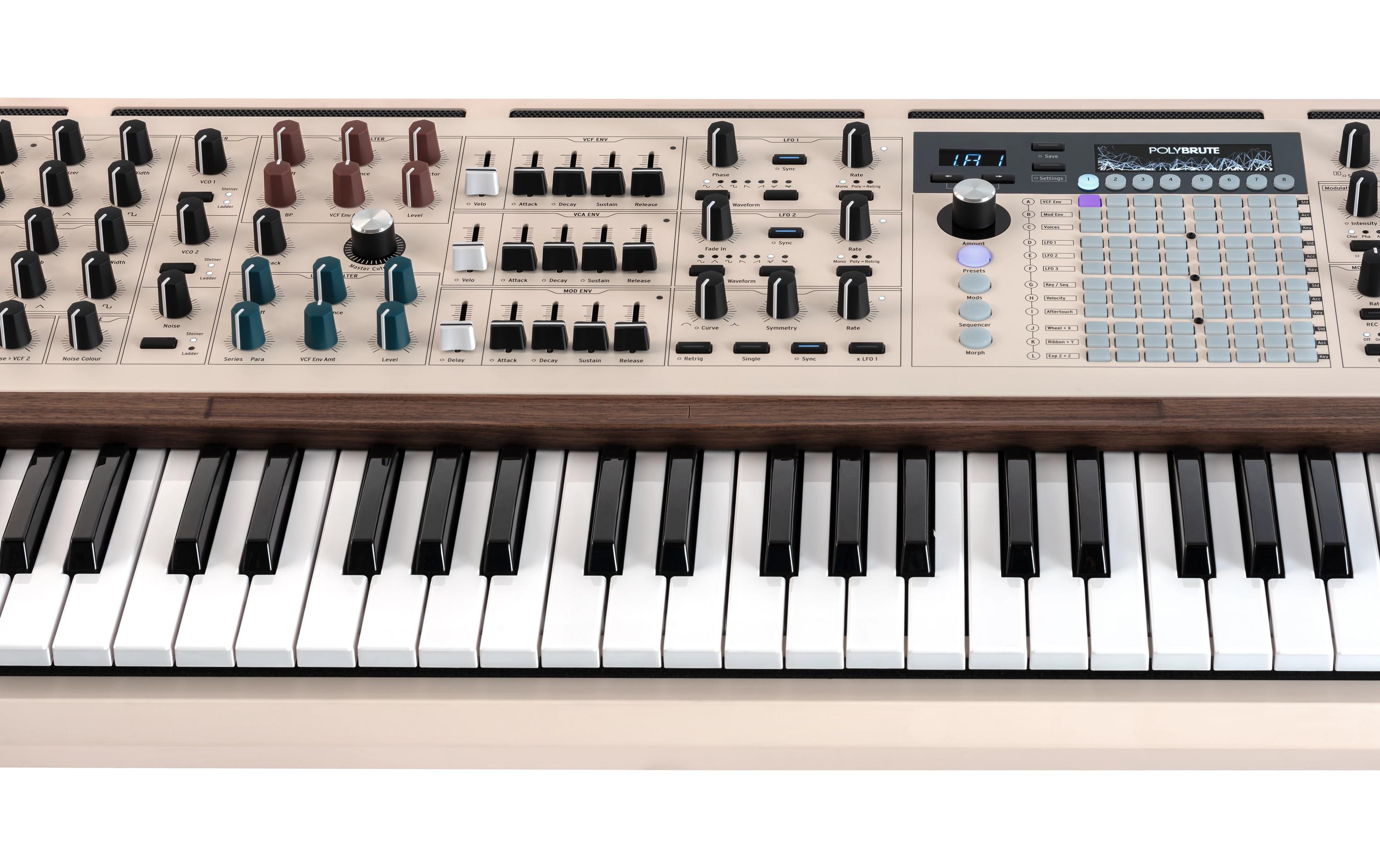 Synthesizer PolyBrute 12<br>Polyphoner analoger Synthesizer