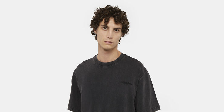 Dickies PLENTYWOOD TEE SS DBLE DYE/ACID WAS Dble dye/acd bl