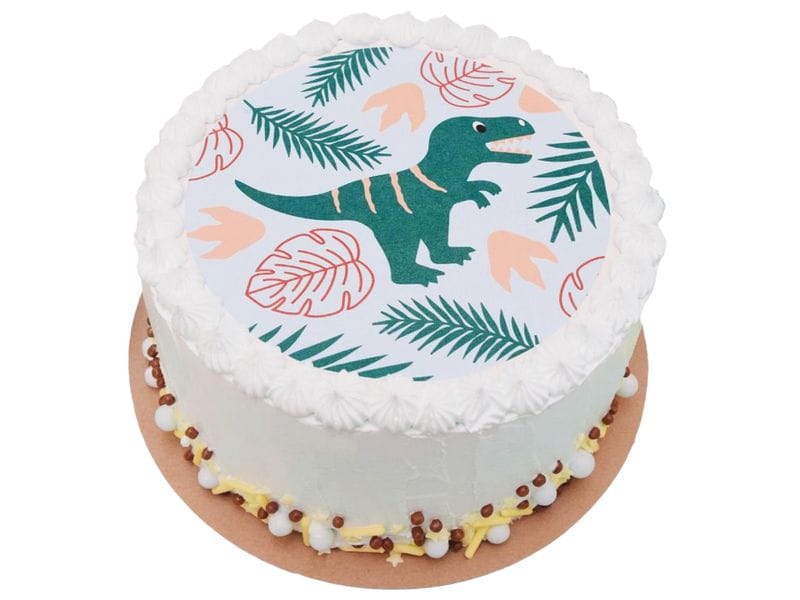 ScrapCooking Tortenaufleger Dino D18 cm Disque Zuckerpaste Dinosaurier