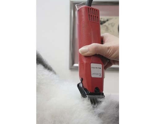 Clipper KERBL Favorita Speed 230 V