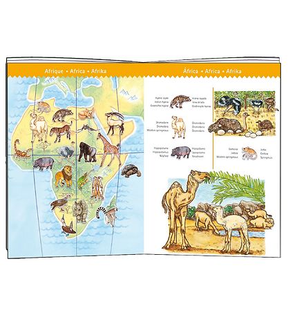 Djeco Puzzlespiel - 100 Teile - Tiere der Welt