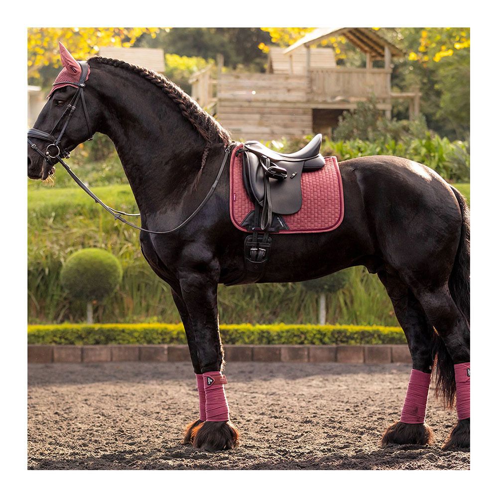Le Mieux SUEDE SQUARE - Tapis de dressage orchid