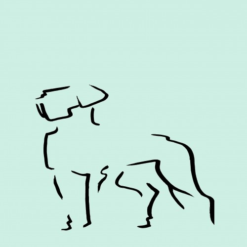 Ilustração de um dogo em formato A4, sem moldura, cor menta.