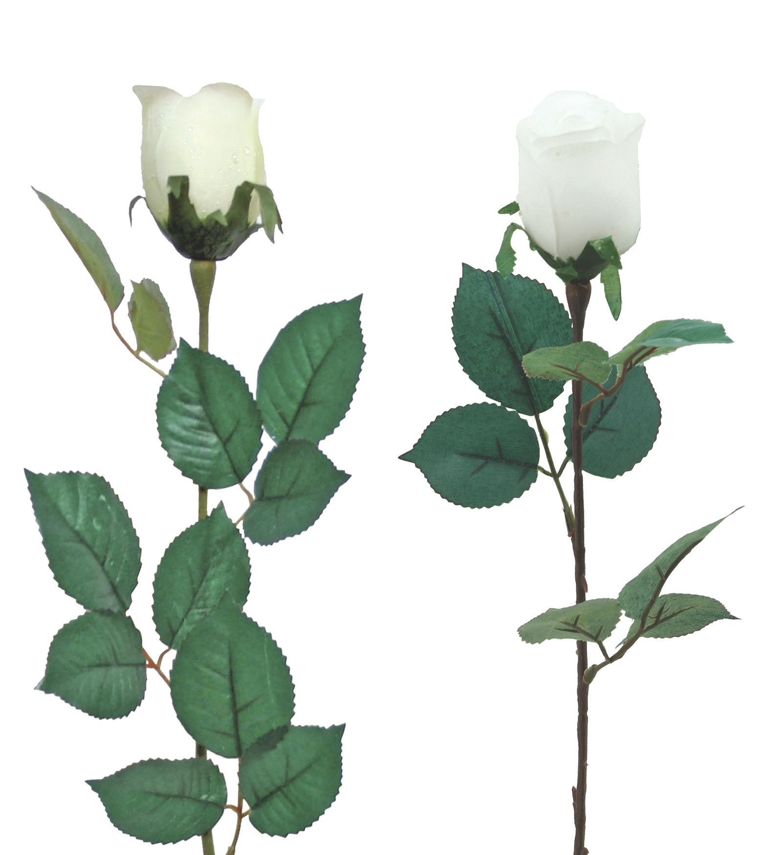 TIGE BOUTON DE ROSE H.77CM BLANC