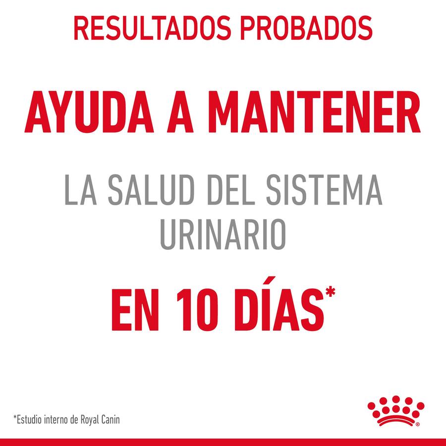 Sachê urinário Royal Canin em molho para gatos