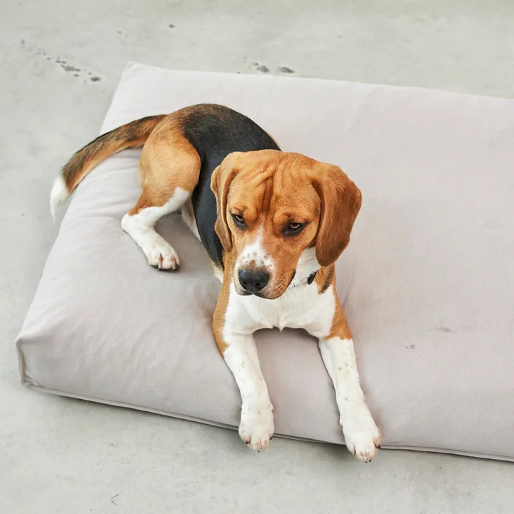 MiaCara - Comodo Hundekissen, M, schiefer