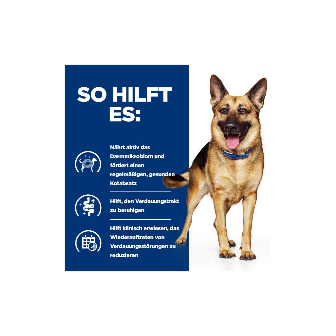 Hill's Prescription Diet Gastrointestinal Biome mit Huhn 12x354g