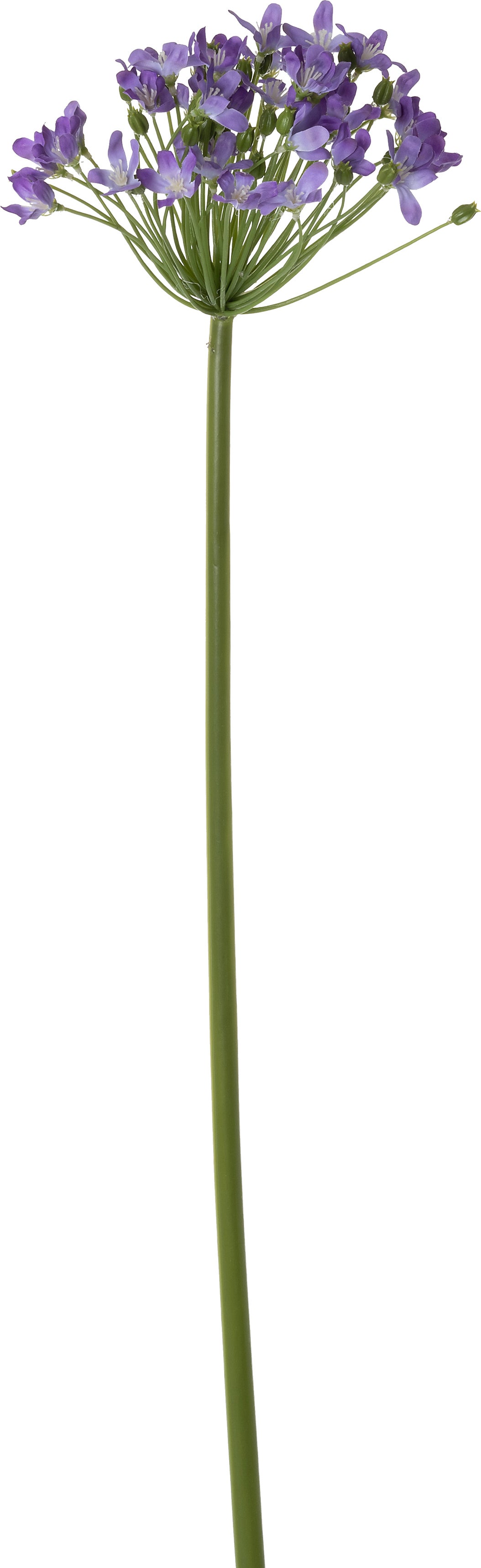 Intratuin kunstbloem Agapanthus paars 89 cm