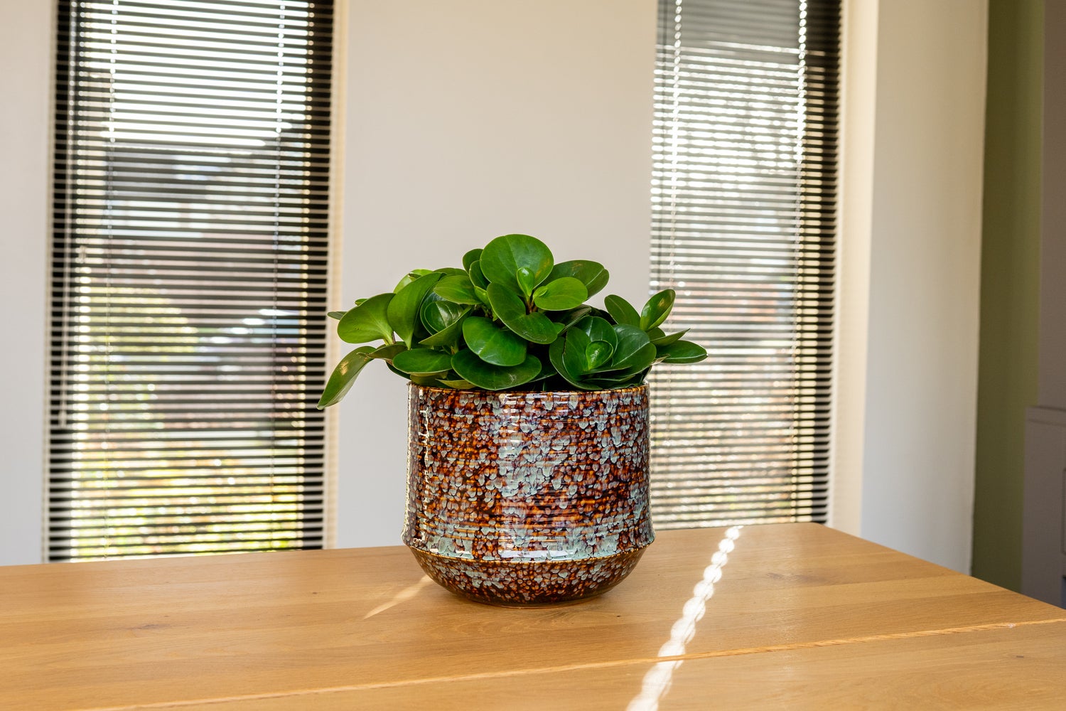 TS bloempot Noud bruin / groen D 20 H 17 cm