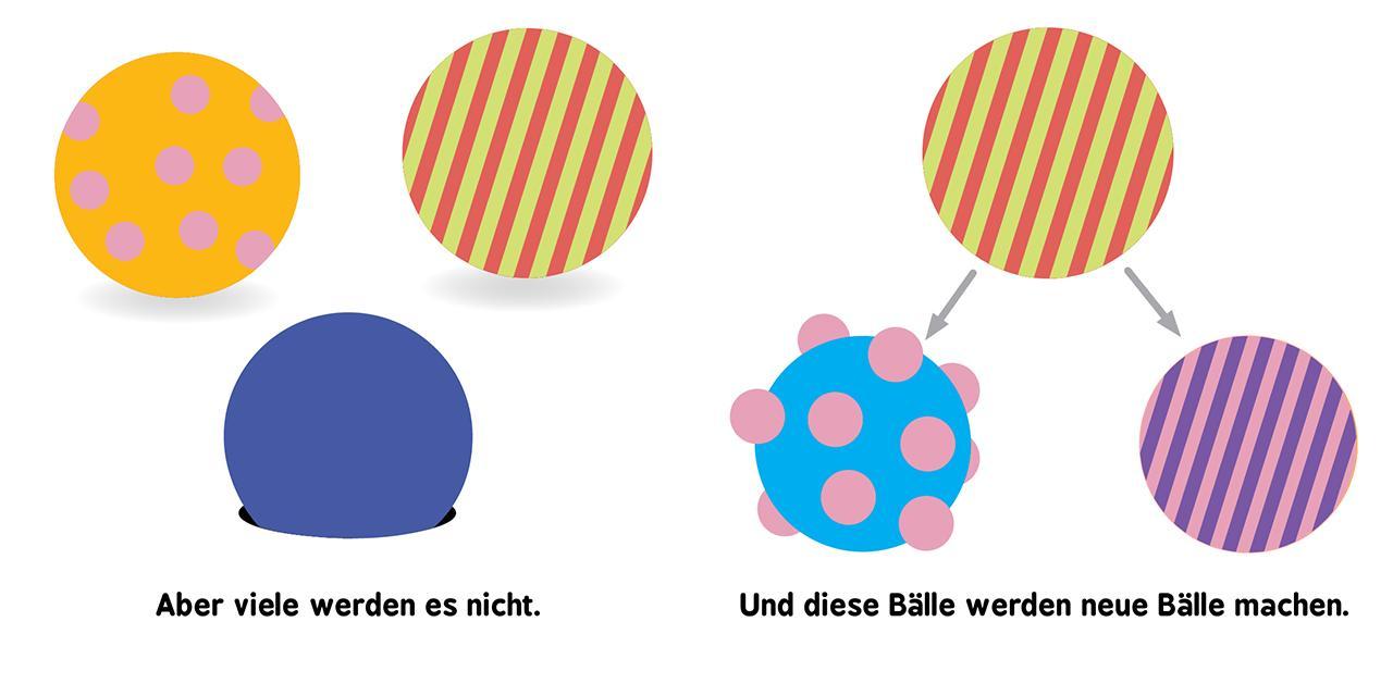 Baby-Universität - Evolution für Babys