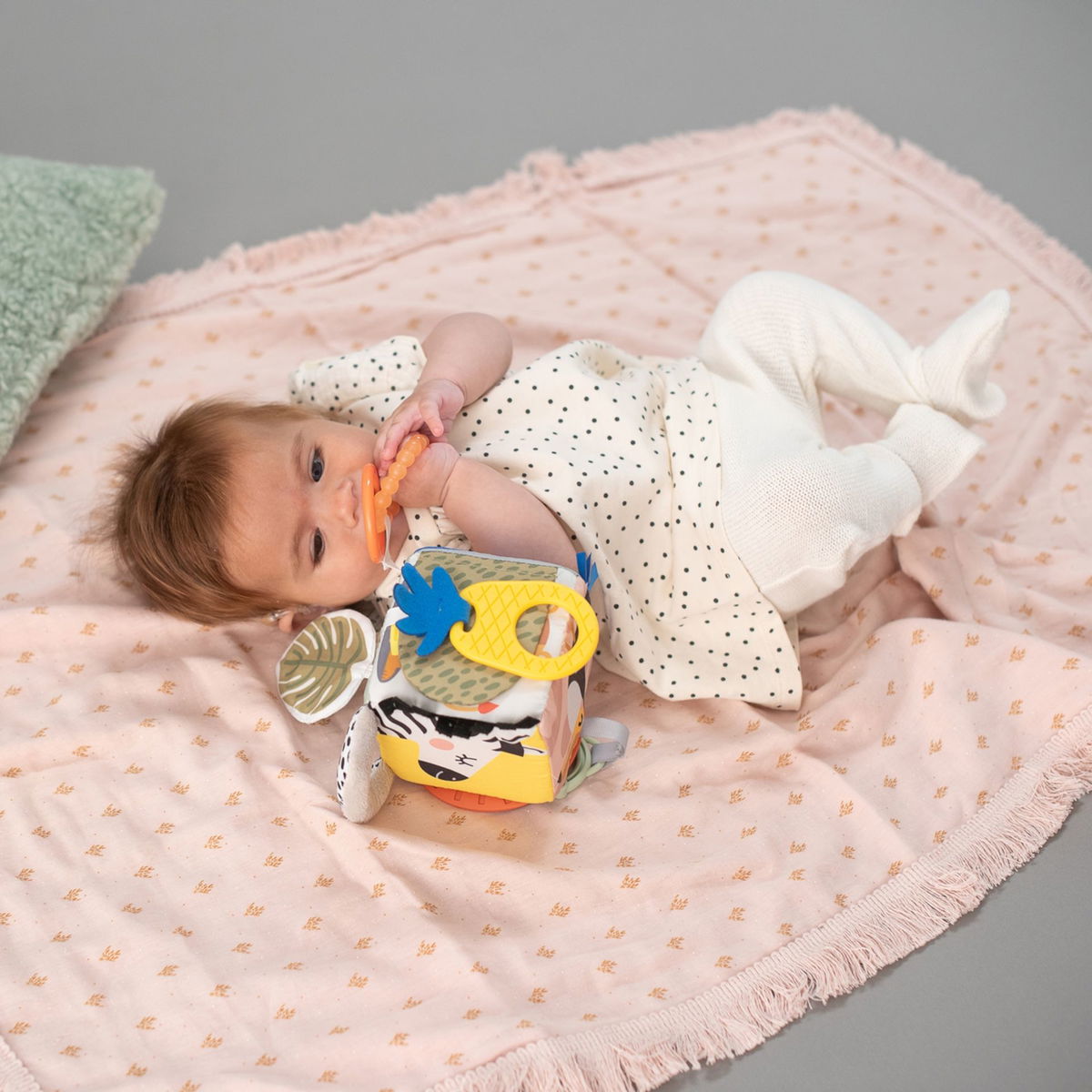 Taf ToysTaf Toys   Aktivitätenwürfel Savannah