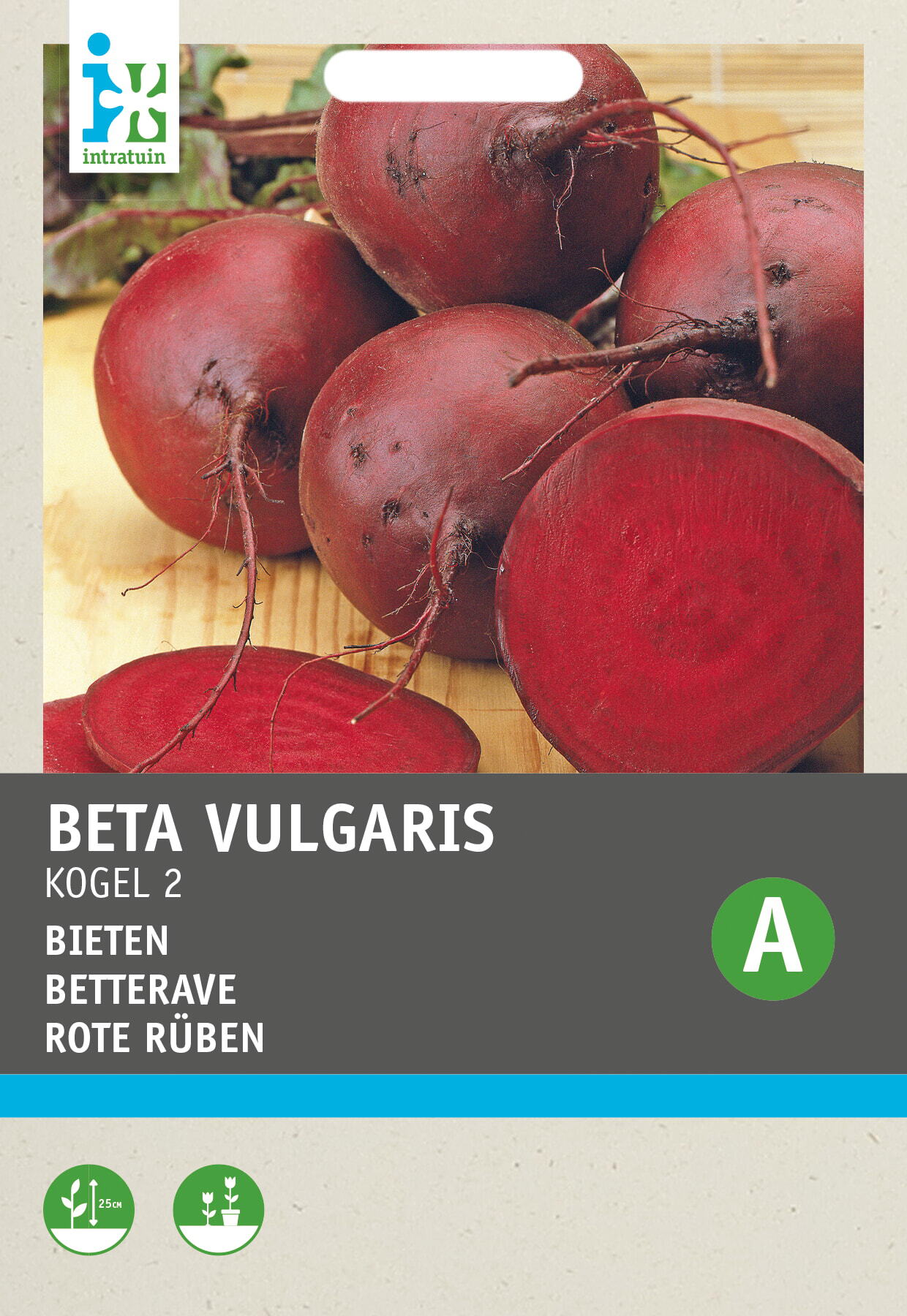 Intratuin groentezaad Bieten (Beta vulgaris 'Vuurrode Kogel 2')