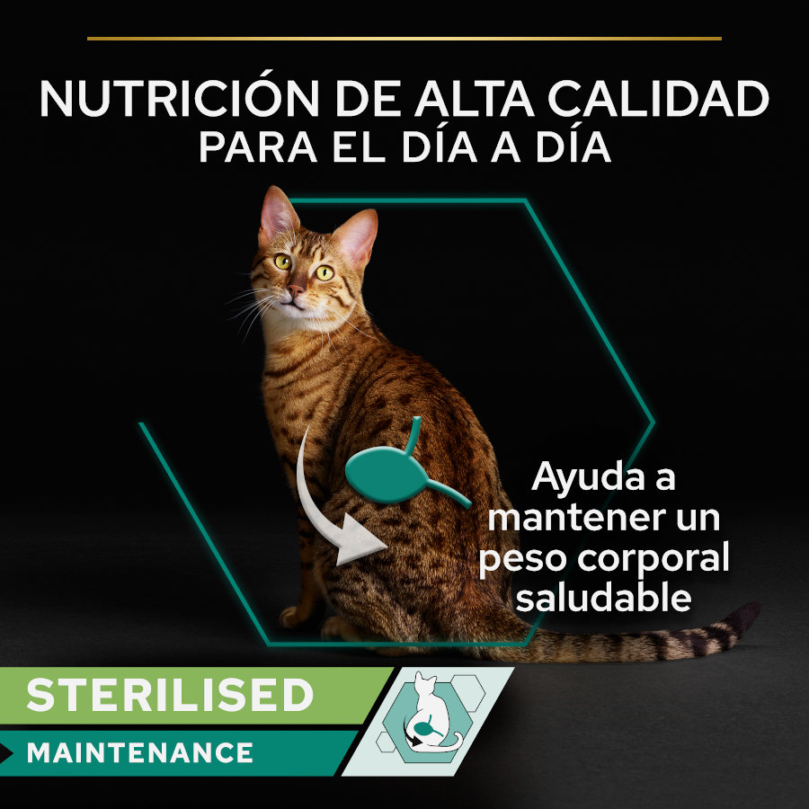 Terrina de atum e salmão esterilizada Pro Plan para manutenção de gatos.