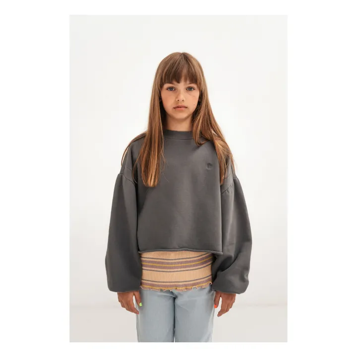 Repose AMS Sweat Coton Bio Crop | Gris anthracite