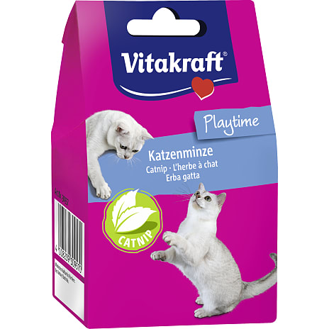 Katteurt