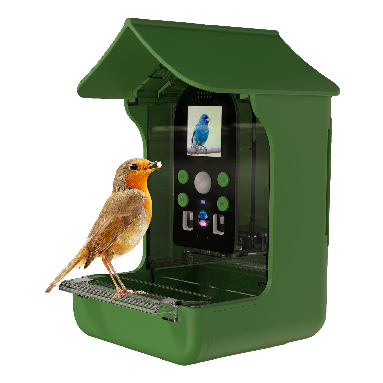 Vogelfutterhaus mit eingebauter Kamera