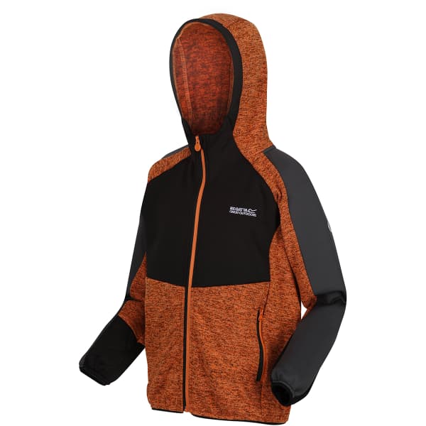 Veste polaire randonnée REGATTA DISSOLVER VI AUTUMN MPL/BLACK