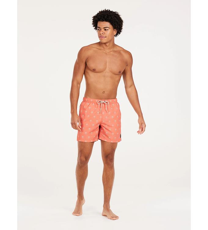 Protest Men PRTALVIS Beachshort