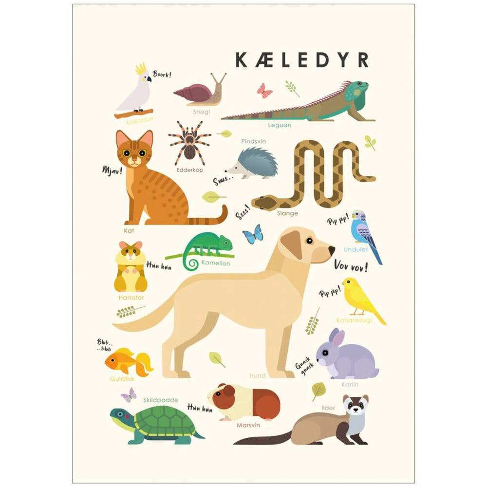Køb Poster & Frame Citatplakat - Kæledyr – Børneplakat