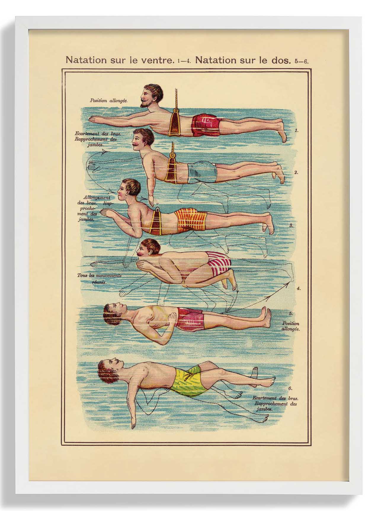 Der Schwimmer