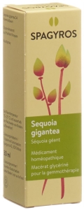 SPAGYROS GEMMO Sequoia gigantea Glyzerol Mazerat D4, 30 ml