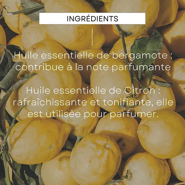 Desodorante em bastão Weleda Citrus Bergamot, pacote com 2 unidades de 50 g.