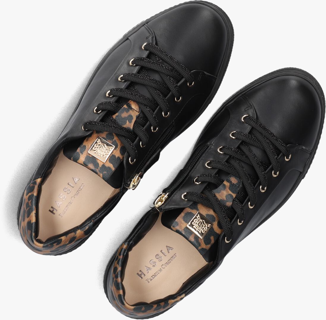 zwarte hassia lage sneakers asti