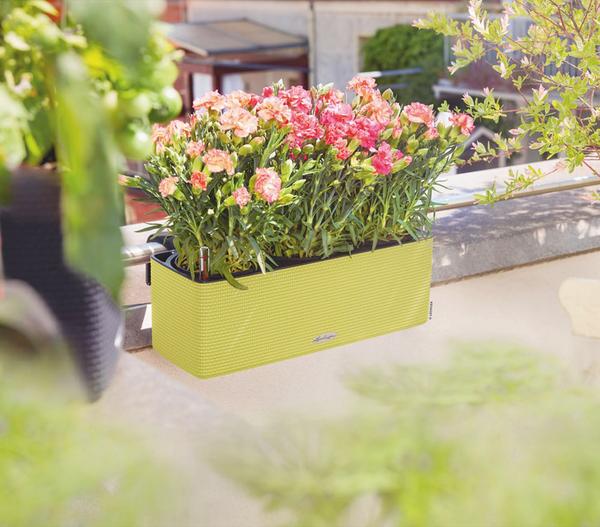 LECHUZA® BALCONISSIMA Color, All-in-One-Set,