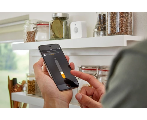 Philips Hue Motion Sensor