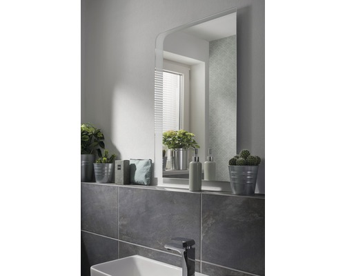 LED badkamerspiegelelement FACKELMANN Milano 55x80 cm 11,8 W