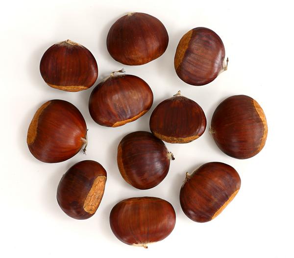Esskastanie 'Bouche de Betizac'