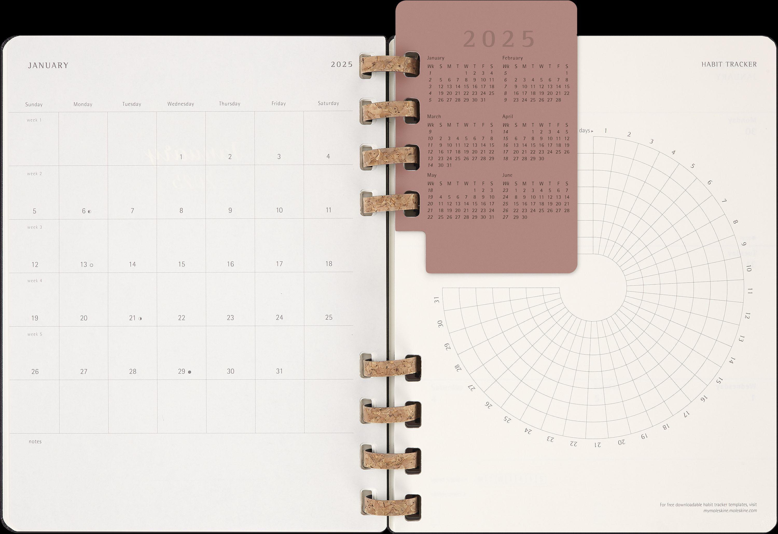 Moleskine 12 Monats Life Kalender mit Spiralbindung 2025, XL, Wochen-Monatskalender